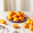 내외로L 이미지