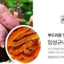 임성규네고구마영농조합법인