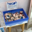 논골제3교 | 묵호여행 필수코스 추천｜감성 소품샵, 가볼만한곳, 관광지 (묵호김밥, 103 lab cafe, 어달삼거리 등)