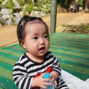 뽑기놀이터 이미지