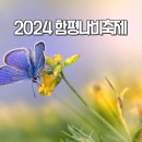 2024 함평나비축제 입장권 예약 가수 행사 기본정보