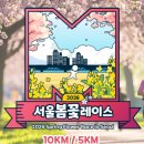 양평1보행육교 | 2026 서울 봄꽃 레이스 벚꽃 명소 안양천 벚꽃길 양평역 도림천역 문래역 공영주차장