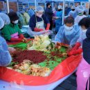 함께 꽃피우는 세상 이미지