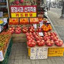 로데오청과