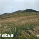 하모니카 연주 이미지