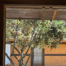 산수림 - 부산진구 | 산수림