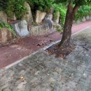 자전거 도로 이미지