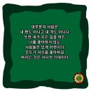 봄날은간다 /장사익 노래 삽입/올레대표 서명숙 대표 사망 소식 이미지