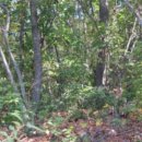 분당-208 이미지