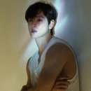에이엔씨 이미지