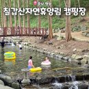 느랭이골 자연휴양림 일반야영장 | 충남 계곡캠핑장 찾는다면? 청양 칠갑산자연휴양림 야영장 캠핑과 물놀이까지