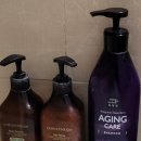 스타팰리스 모텔 이미지