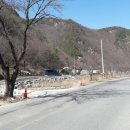 금산펜션 이미지