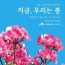 호수공원중앙수목원로 이미지