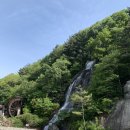 김해서부경찰서(2993)? | 셔틀차 대기 1시간! 장유사 부처님오신날 다녀온 후기+비빔밥맛집!!