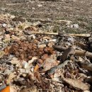 비해피양봉협동조합 이미지