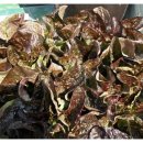 엄마네농장 이미지