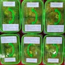 율천경로당 이미지