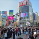 맘스터치 길건너 교차로 | [일본] 도쿄 시부야 여행 직접 방문한 가볼만한곳 총정리 / 내돈내산