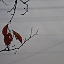 고담낚시터 이미지