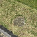 오크힐 골프클럽 이미지