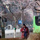 장백산로 이미지