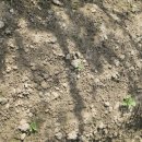 부자농약사 이미지