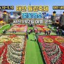 간절곶원예힐링하우스 | 태안 튤립축제 세계튤립꽃박람회 2026 후기, 태안 가볼만한곳 7곳
