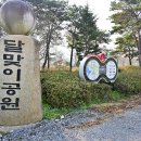 보현산권역정각마을 | [전라남도 함평군] 함평 용월리 지석묘군