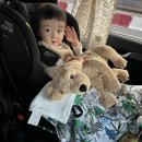 엘림카시트 이미지