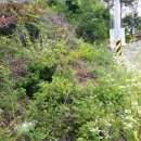 월영동253 이미지