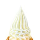 소프트올 이미지