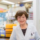 젊은약사 약국 이미지