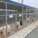 우네농장 이미지