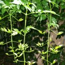 인생여행 이미지