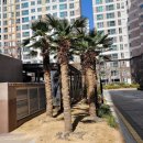 5단지명지공인중개사사무소 이미지