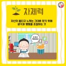 용인대 가온 태권도 이미지