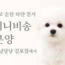 뽀송 이미지