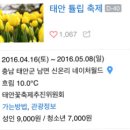 상반기 전국정모 계획(안) 이미지