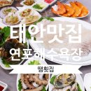 땜횟집