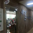 단하나피티 이미지