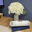 전원세탁소운동화 | 캡슐에스 운동화 신발 살균 건조기 추천 내돈내산 실사용 후기 (돈이 아깝지 않은 잇템)