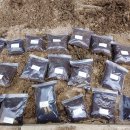 천비농장 이미지