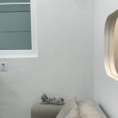 서울고양이미용실 이미지