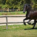 서라벌대학교 이미지