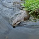 전라남도야생동물구조관리센터 이미지
