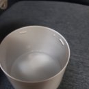 펫 가디언 이미지