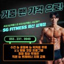 에스지피트니스