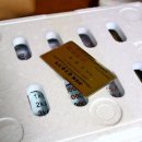 3대째삼오불고기 이미지