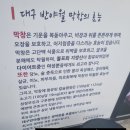 대구반야월막창신음점 이미지